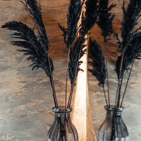 בקתה Zsam Mit Sauna Und Hottub *